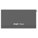 RG-EG210G-P-V3